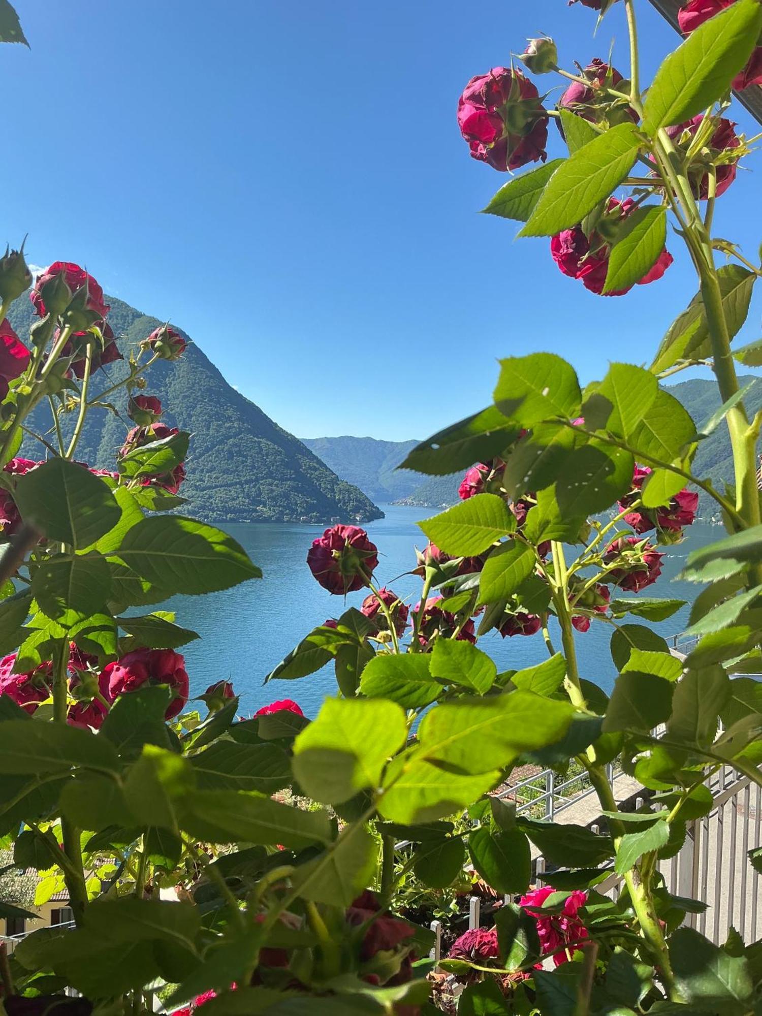 Colonno Panoramica Lago Di Como Экстерьер фото